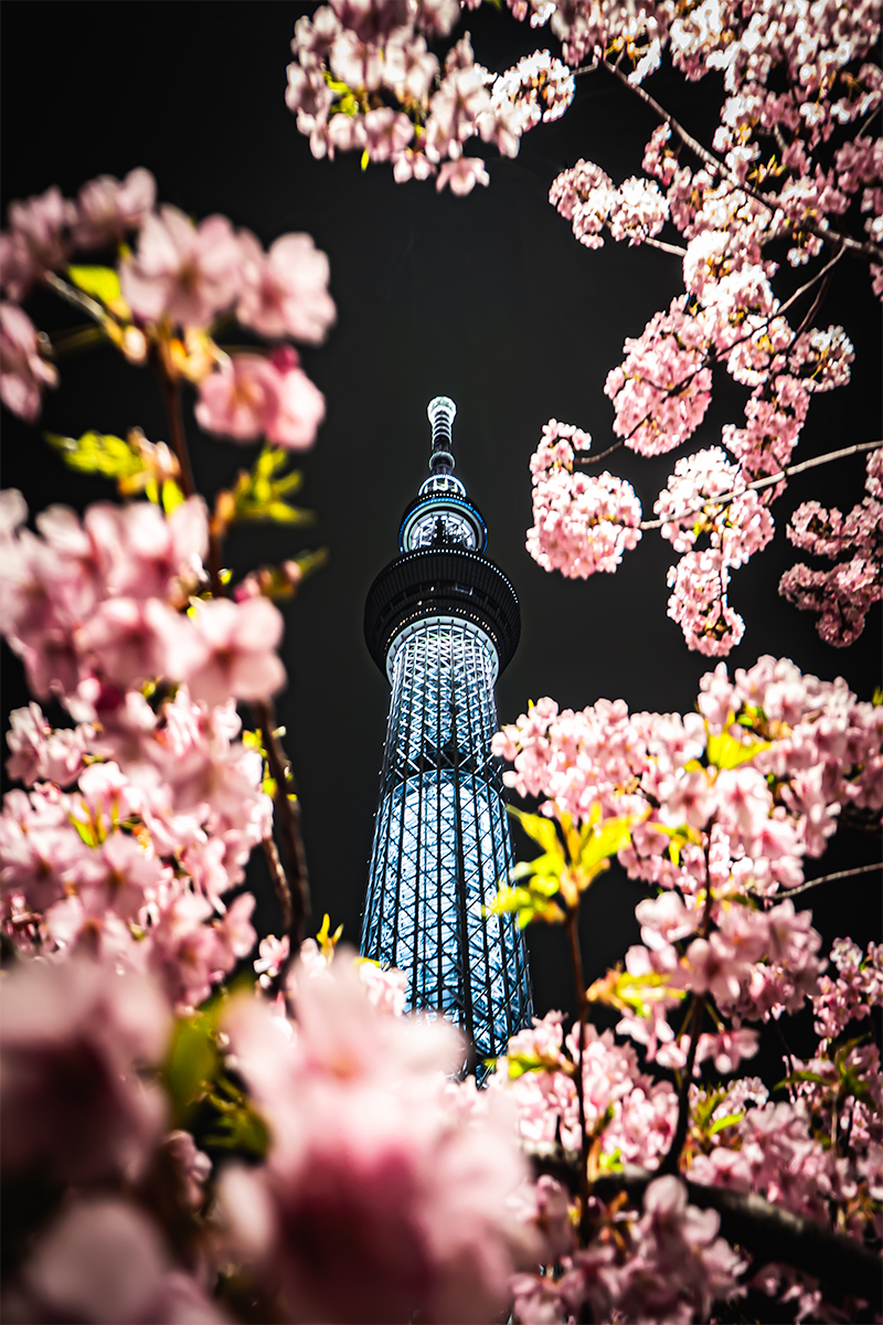 TokyoSkytree09